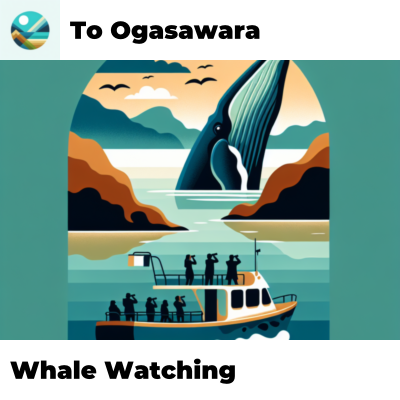 Whale Watching